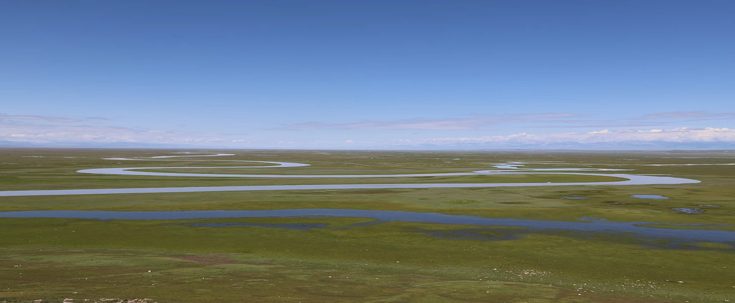 林业调查规划设计