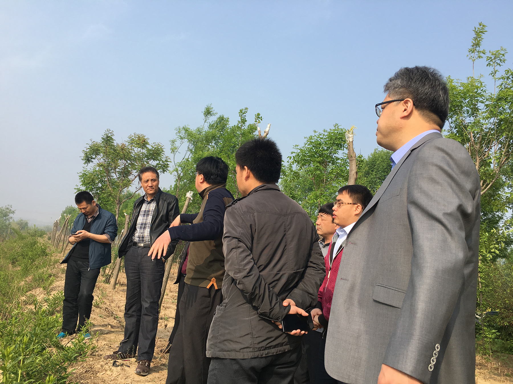 水利部海委马至尊处长对德商高速公路水土保持工作落实情况进行监督检查